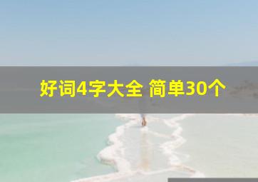 好词4字大全 简单30个